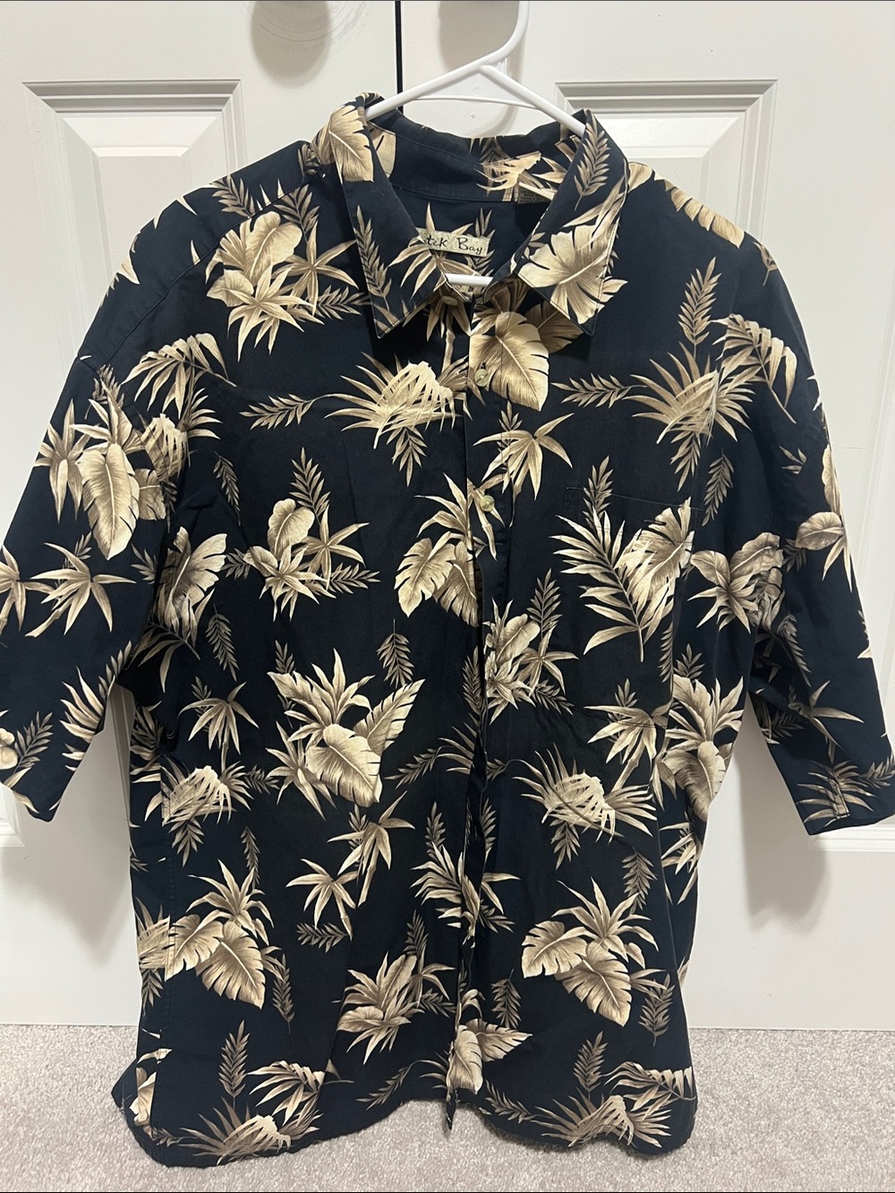 Black & Tan Floral Short-Sleeve Button-Up Shirt
